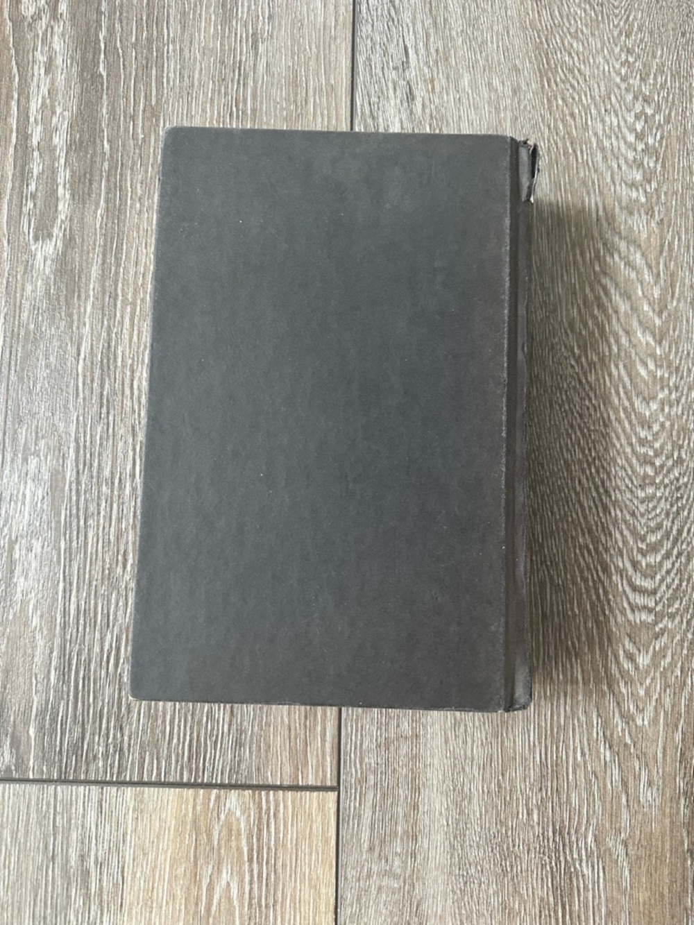 Queen of Shadows by Sarah J. Maas - Hard Cover - Picture 3 of 10